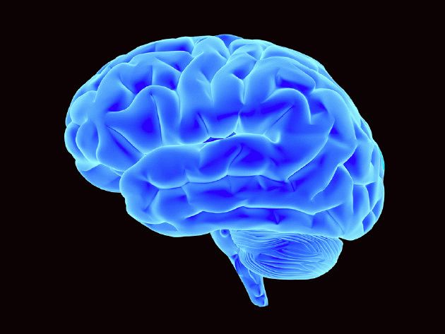 Фото 1 - Большой каменный мозг: что разрушает и что лечит твою голову