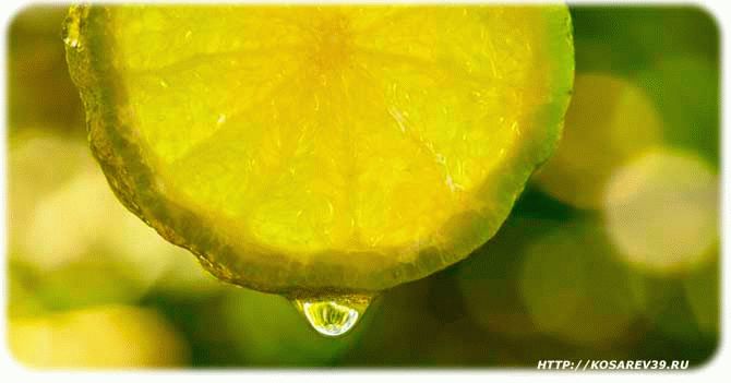 Лимонад из цитрусовых