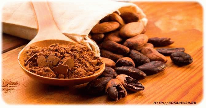 Лечебные свойства какао