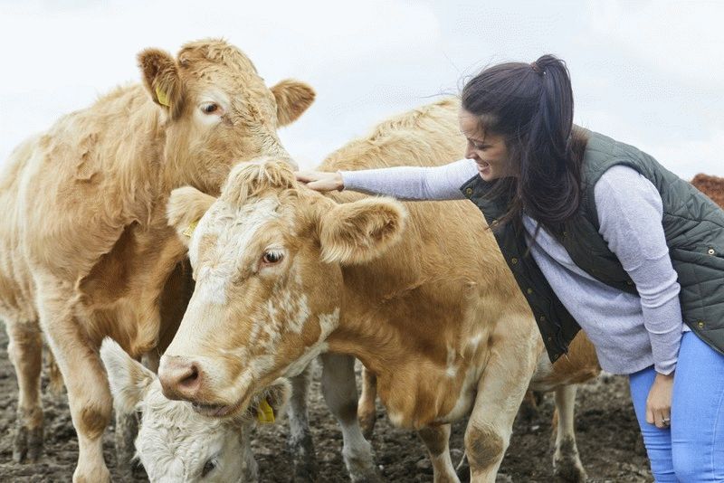 Скорее всего девушка заразилась от домашнего скота, когда гостила на ферме