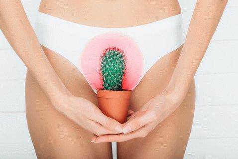 Мифы о менструации